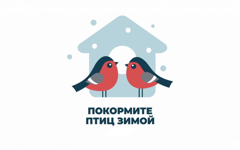 Акция «Покормите птиц зимой» 