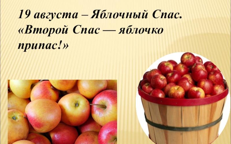 «Яблочный Спас — яблочко припас!»