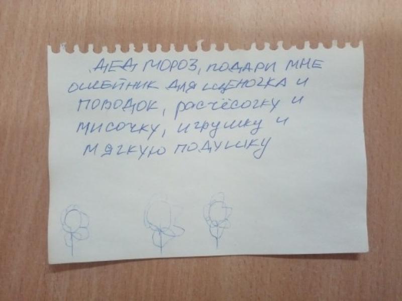 Акция «Мое письмо Деду Морозу»